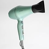Taiff Style Hair Dryer Ionsense Silver, 125V, Fast Drying, Frizz-Reducing Ionic Ceramic, 1875W, Lightweight Blow Dryer with Diffuser for Curly Hair, Professional Performance - GREEN
