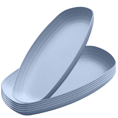 Image of Reusable Durable Lightweight Dinner Plates for Fruits, Snack, Pasta, Salad, Dessert, Cake, Salad, Fruit, Appetizer Dishwasher & Microwave Safe Dinnerware Sets (Blue, Pack of 6)