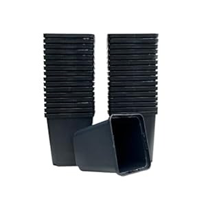 Spiceboxx 100x Profi Anzuchttöpfe Vierecktopf