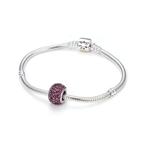 1Pc Adabele Real 925 Sterling Silver February Amethyst Purple Birthstone Large Hole Charm Bead Swarovski Crystal Rhinestone Fit All Charm Bracelet Necklace Women Gift Ec684-2 #TOP4