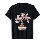 Bonsai Tree Japanese Meditation Zen Master Penjing