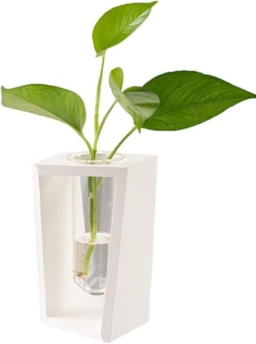 YAKINO k͔|pԕr KX pe  ؐX^h ی^CT[gt |gX rO[ fXNgbvi (zCg)