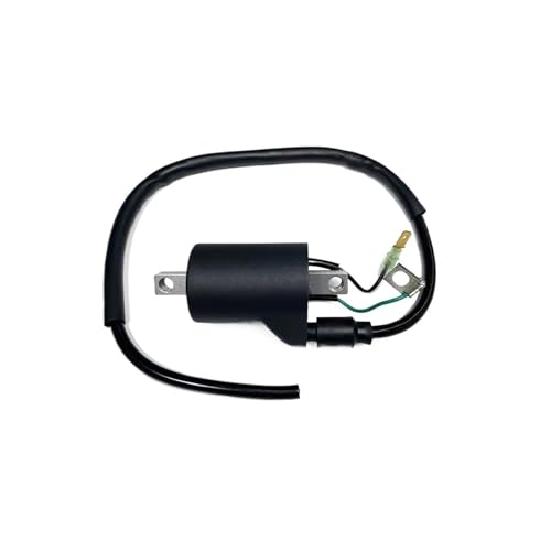 Bobine d'allumage de moto évite les pannes électriques EXCF FX