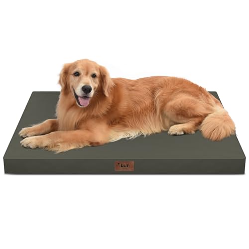 Tail Stories Outdoor All Weather XL Dog Bed, Waterproof Dog Bed for Extra Large Dogs, Orthopedic Egg...