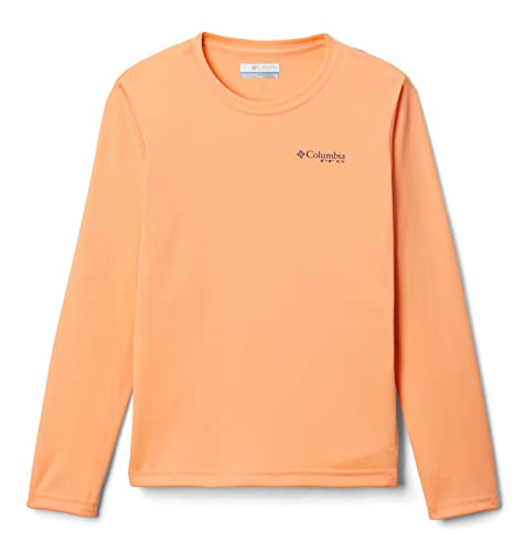 Image of Columbia Kids Terminal Tackle L /S Tee (Little Kids /Big Kids)