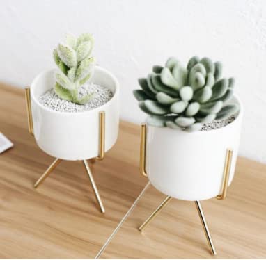 Image of Planter stand indoor rustproof durable stylish modern shelf living room sturdy stable decor decoration Pot Stand mid century - Small (Single Medium)