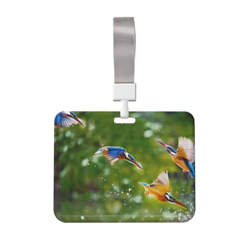 DP[X JZ~  l[z_[ hz_[ IDJ[hP[X pXP[X IDJ[hP[X  J[hz_[ obWz_[ | ݂艺D  h spi w 蕨