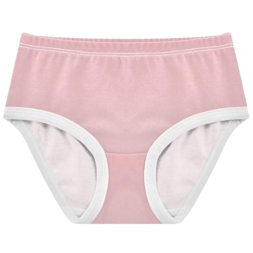 Joisal Cotton Toddler Underwear Floral Blush Pink Sand Beige Gradient Little Girl Panties Fun Briefs Underpants 2t