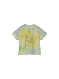 [ザ・ノース・フェイス] 半袖 カットソー Tシャツ T S/S Novelty Big Root Tee アンディアントゥーキャン 110