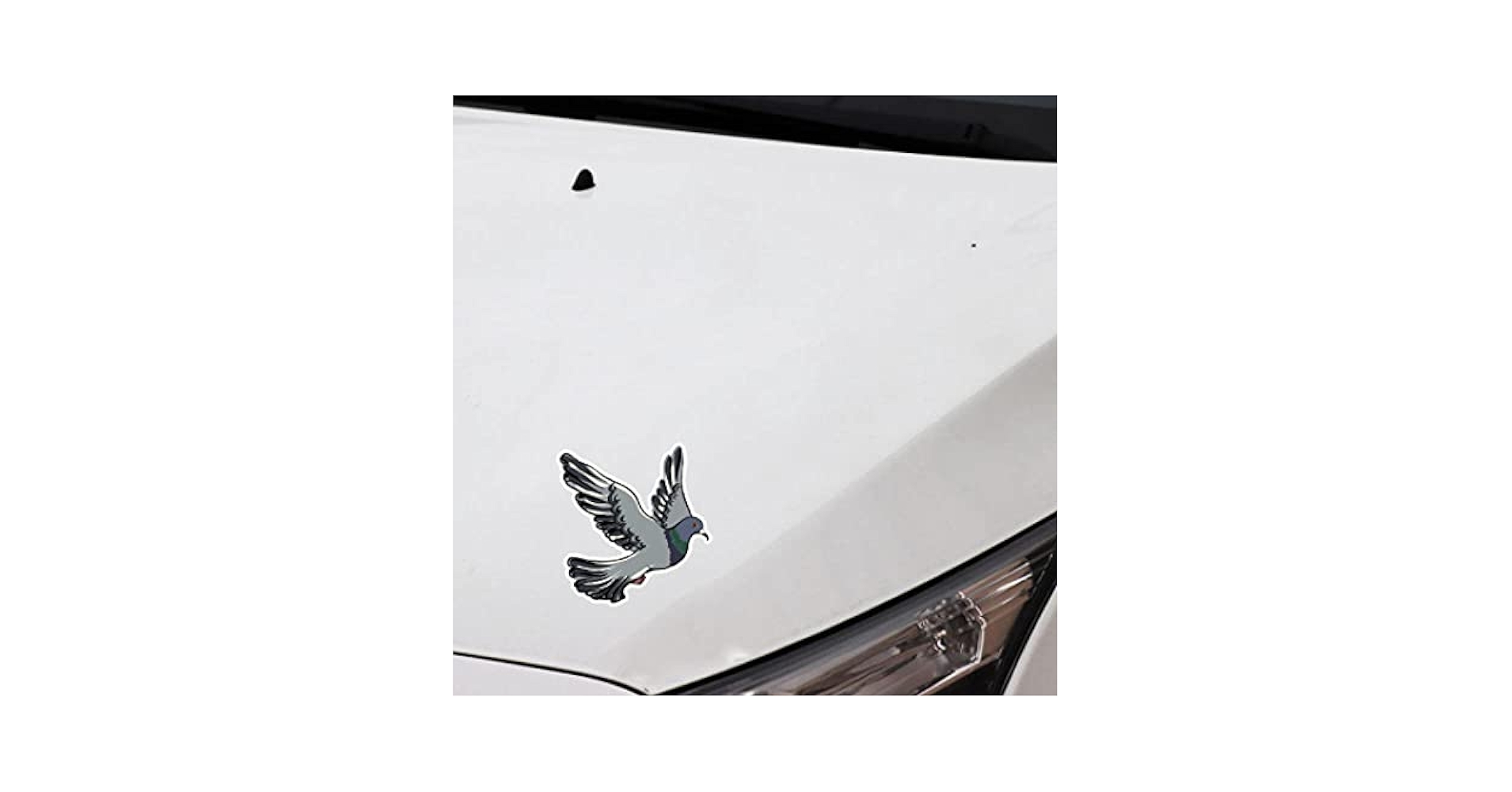 バラ売り可 メタリックステッカー 火車 キョンシー 2019 2020 Amazon.co.jp: 4個の車のステッカー14 * 14.5CM美しい鳥の鳩の