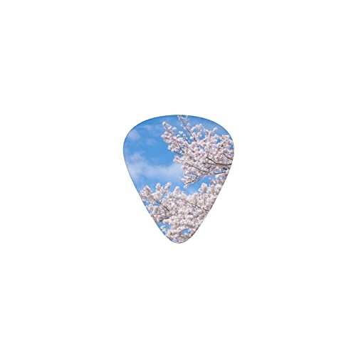 ��ɐL�т�� �f�U�C���M�^�[�s�b�N guitar pick �e�B�A�h���b�v�^ �G���L�M�^�[/�A�R�[�X�e�B�b�N�M�^�[/�N���V�b�N�M�^�[/�x�[�X���̗��K�ɍœK��12���Z�b�g