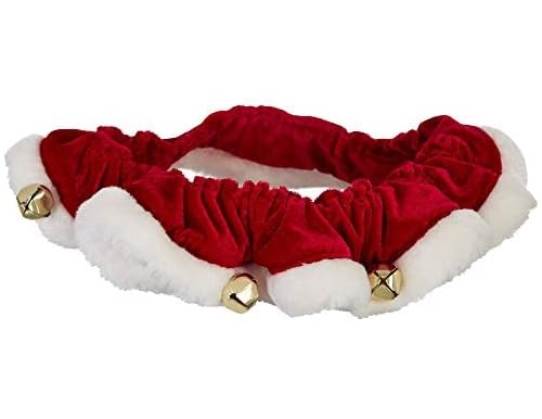 Santa and Reindeer Pet Costumes and Accessories For Christmas