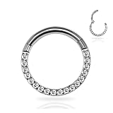 Tiremat 2PCS 6mm&8mm G23 Titanium Body Piercing Rings for Nose Ear Lip Septum Conch Daith Lobe Helix