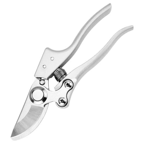 v̐lԍHwɊÂc[AyʃA~jEnhtAIȐÃg~OpO|͂