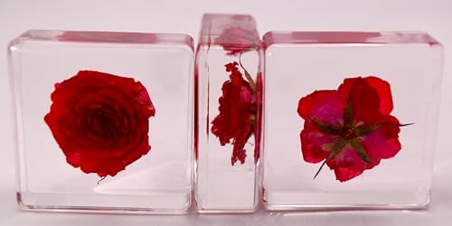 Image of 38mm Small Red Rose Flower in Crystal Clear Lucite Resin Specimen Botanist Herb Herbarium Crafts Collection for Botany Science Education & Desk Ornament Display Small Paperweight