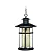 VAXCEL One Light Outdoor Pendant T0138 One Light Outdoor Pendant