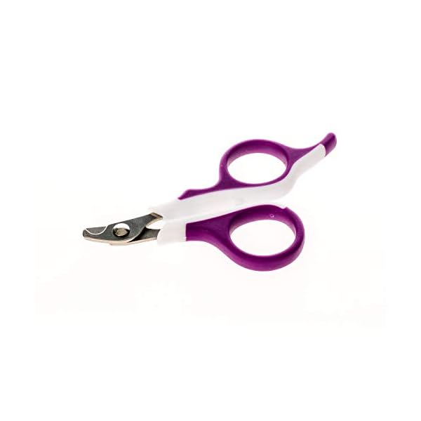Kaytee pro-nail trimmer purple - image 6
