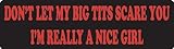 USA Biker Goods 1' x 3.5' Don't Let My Big Tits Scare You I'm Really A Nice Girl Motorcycle Helmet Sticker Decal