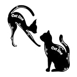 Black Cats Eyeliner Stencils Smoky Eyeshadow Applicators Template Plate Cats Eye Liner and Eye Guide Template Tools,To Create Cat Eyes Liner,Eye Makeup Tools And Accessory, Makeup