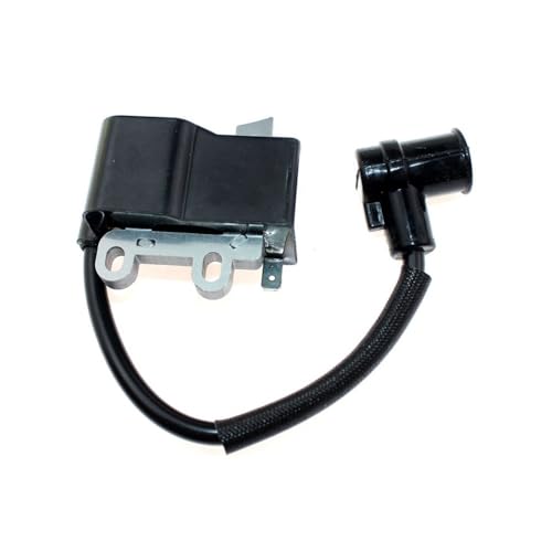 Bobina de encendido SV-6/2 pieza A411000300 repuesto para motor 36001001