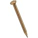 National Hardware N278-754 5/8-Inch X 18-Inch Gauge Escutcheon Pin, Solid Brass