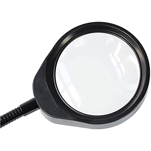 Lente d'ingrandimento, Lente d'ingrandimento con