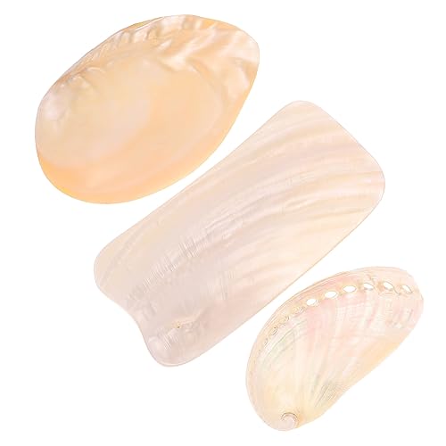 VANZACK Seashell Adornments Seashells for Crafting Natural Shell Ornaments Seaside Photography Props Home Decor