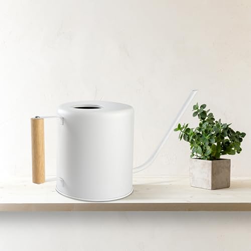 1.5 Liter Watering Can for Indoor Plants, House Plants, Flower Watering, Outdoor Plants - Small Metal Watering Can with Long Spout (White)
