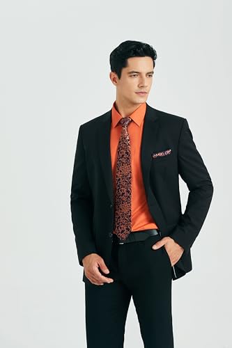 HISDERN Mens Dress Shirt and Tie Handkerchief Set Classic Long Sleeve Shirts Matching Ties Formal Button Down Shirts3