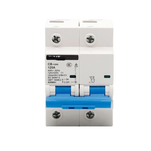 Disjoncteur miniature 2P 100A haute performance pour isolation CC CA de précision - 2