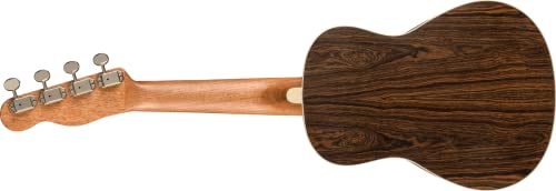 Fender Zuma Exotic Concert Ukulélé Noyer Doigter Bocote - Les Beatles, Paul McCartney, John Lennon, RIngo Starr, George Harrison Fender Zuma Exotic Concert Ukulélé Noyer Doigter Bocote – Image 3