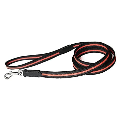 Alvalley Reflective Dog Leash - Durable, Heavy Duty Dog Leash with Nylon Webbing - Dog Training Leash for Small, Medium, Large and Extra Large Dogs, (Black, 6 ft Long with 19 mm Thickness) Cover