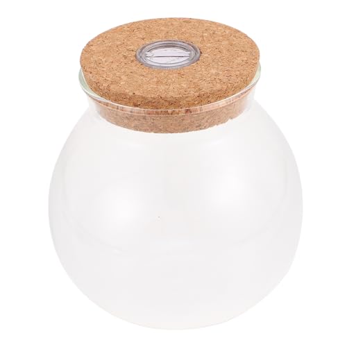 TOYANDONA Botella ecológica Colorida maceteros Bote de Vidrio con Tapa Botella de Almacenamiento Botella de Cristal Sencilla contenedor de Micro Paisaje terrario de Plantas Sencillo