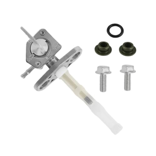 Llave de Purga Gas para Solucionar Fugas de Combustible en XR 600R