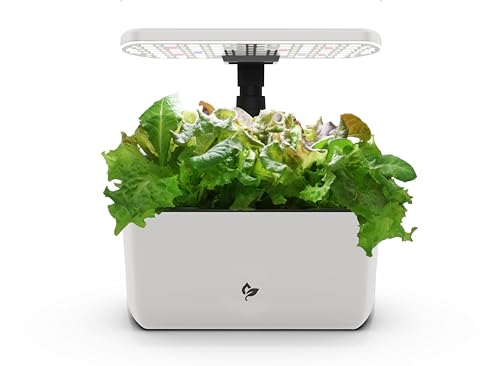 Hydroponic System with LED Grow Light