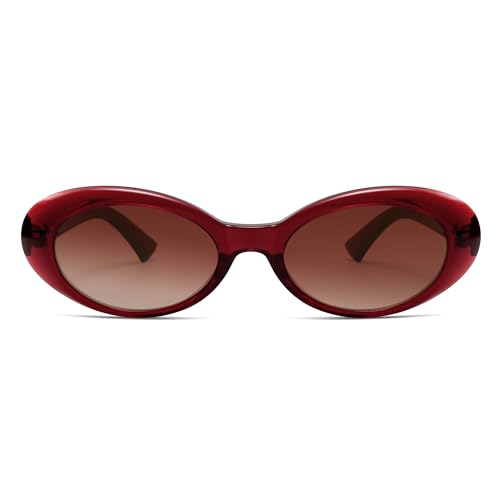 Retro Oval Sunglasses for Women Men 90s Vintage Cat Eye Sunnies AR823004