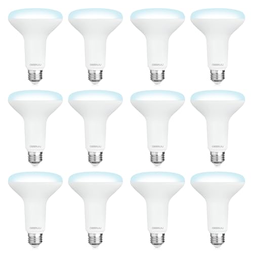 DEGNJU 12 Pack BR30 LED Recessed Light Bulb, Dimmable Indoor Flood Light Bulbs CRI80 7W Equivalent...