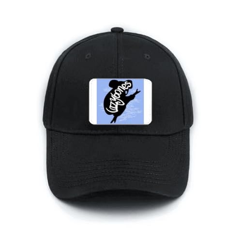 Casquette baseball noire paresseux réglable pour éviter les coups de soleil