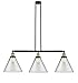 Innovations 213-BAB-G42-L Three Light Island Pendant from Franklin Restoration Collection 12.00 inches
