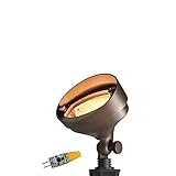 COLOER Die-cast Brass LED Landscape Flood Lights Outdoor, 2W 9-17 Volt Low Voltage Wall Wash Lighting, Outdoor Floodlight for Illuminating Signs, Walls and Plant Material(501B,1-Pack with G4 Bulb)
