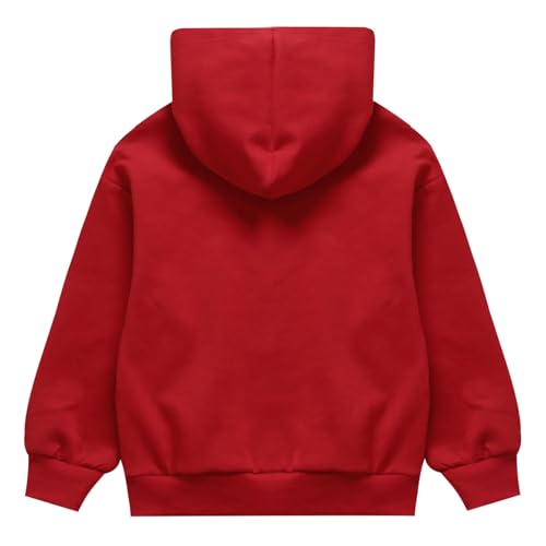 Loyan Boys and Toddlers' Long Sleeve Hooded Sweatshirt Solid Color Casual Tops Pullover Hoodie3