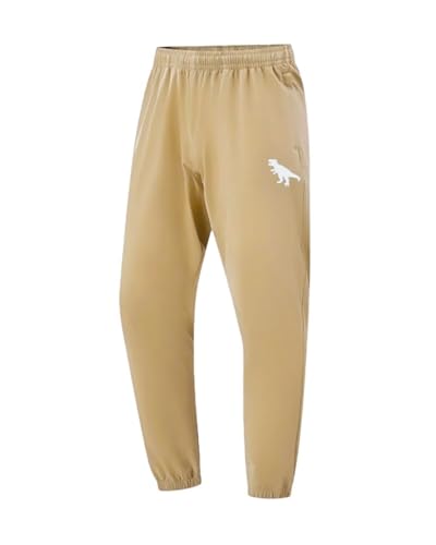 BINPAW 3 Pack Toddler Boys Active Pants Pull On Sweatpants Dinosaur Graphic Print Jogger Pants, Gray/Light Khaki/Dark Green, 13-14Y = Tag 1604