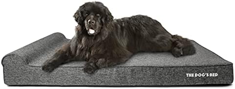 The Dogs Bed Orthopaedic Dog Bed Coronation Large Blue/Red Union Jack Waterproof Memory Foam Dog Bed