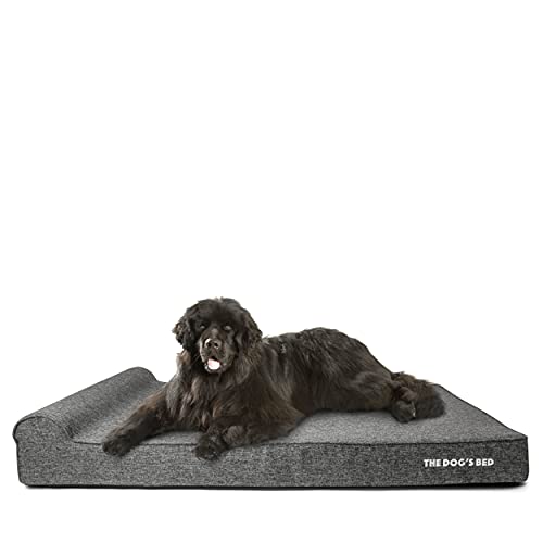 6 Best Giant Dogs Beds for Great Danes Dog Wish
