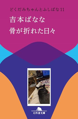 骨が折れた日々 どくだみちゃんとふしばな11 (幻冬舎文庫 よ 2-44)