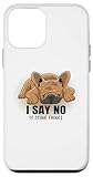 Bulldog Frances Carcasa para iPhone 12 mini Bulldog Frances