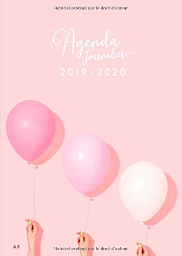 Télécharger Agenda Journalier 2019-2020: Agenda Semainier de Juillet 2019 à Décembre 2020, Semainier simple & Livre PDF Gratuit