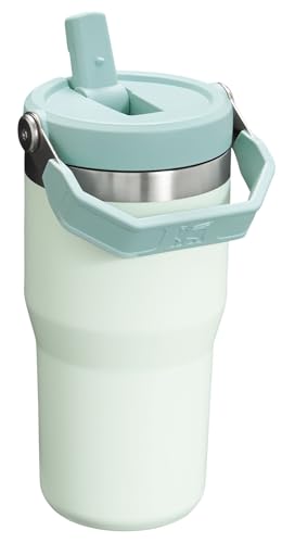 Stanley IceFlow Flip Straw Tumbler with Handle 20 oz | Twist On Lid and Flip Up Straw | Leak Resistant Water Bottle | Insulated Stainless Steel |BPA-Free | Mist
