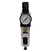 MILTON 1/4" NPT Mini Polycarbonate FR