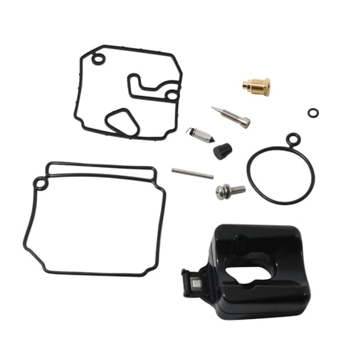 Kit de réparation de carburateur résout les problèmes de démarrage 40HP 25Q